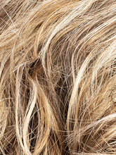 Load image into Gallery viewer, DARK SAND ROOTED 12.26.14 | Light Brown base with Lightest Ash Brown and Medium Honey Blonde blend and Dark Roots
