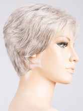 Load image into Gallery viewer, SILVER MIX 56.60 | Lightest Blonde and Pearl White blended with a Grey Blend
