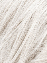 Load image into Gallery viewer, SILK GREY MIX 60.56 | Pearl White Blended with 75% Grey, (12) Lightest Blonde
