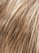 Load image into Gallery viewer, DARK SAND MIX 14.22.12 | Lightest Brown and Medium Ash Blonde blend
