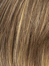 Load image into Gallery viewer, NUT MULTI SHADED 12.26.830 | Lightest Brown and Light Golden Blonde with Medium Brown Blended with Light Auburn Blend with Shaded Roots
