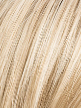 Load image into Gallery viewer, CHAMPAGNE ROOTED 22.20.25 | Light Beige Blonde, Medium Honey Blonde, and Platinum Blonde Blend with Dark Roots
