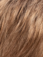 Load image into Gallery viewer, DARK SAND MIX 12.14.16 | Lightest Brown and Medium Ash Blonde with Medium Blonde Blend
